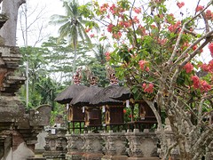 42 Ubud (53)