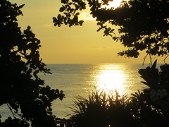63 hotel Amed (4)