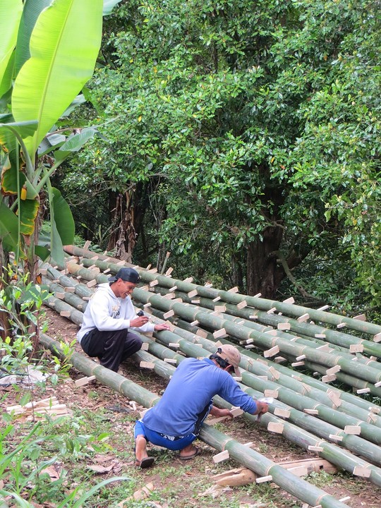28 Munduk wandelingen  (8) bamboeladders maken Gesing