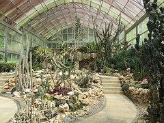20 Bedugul Botanische Tuin (4)