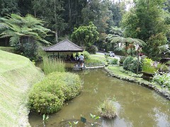 20 Bedugul Botanische Tuin (3)