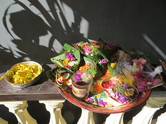 13 offertjes hostel Sanur