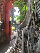 3 Melanting tempel (2)