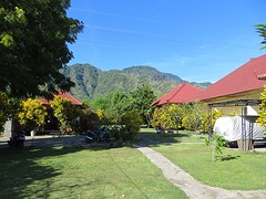 6 hostel Pemuteran (2)