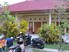 6 hostel Pemuteran (3)