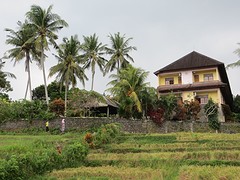 11 Medewi Beach (5)
