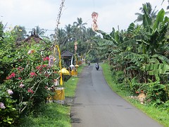 12 onderweg naar Balian Beach (4)