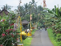 12 onderweg naar Balian Beach (5)