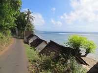IMG_1476 Semaya