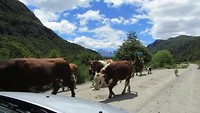Roadtrip Chili Argentinie video 10
