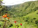112 San Agustin wandeling (7) Rio Magdalena