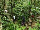 169 Rio Napo jungle tour (11)