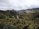 191 nationaal park Cajas (4)