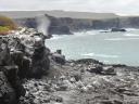 260 rondleiding kust (1)