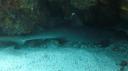 Galapagos onder water (150)