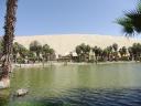 363 Huacachina (6)
