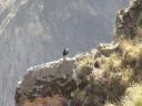 374 Colca Canyon trekking 1e dag (2)