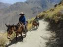 374 Colca Canyon trekking 1e dag (10)