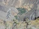 374 Colca Canyon trekking 1e dag (12)