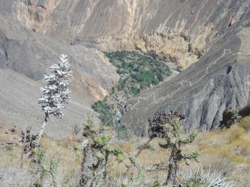374 Colca Canyon trekking 1e dag (12)