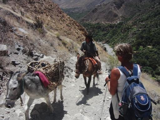 374 Colca Canyon trekking 1e dag (19)