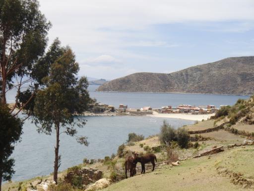 550 Isla del Sol (8) (800x600)