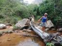 574 trekking Amboro nationaal park (42) (800x600)