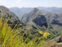 574 trekking Amboro nationaal park (13) (800x600)