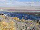 609 dag 2 van Uyuni naar Tupiza (91) (800x600)