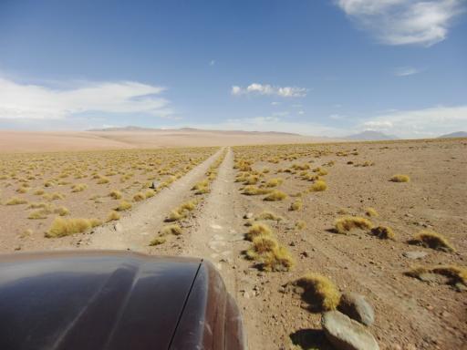 609 dag 2 van Uyuni naar Tupiza (63) (800x600)