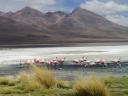 609 dag 2 van Uyuni naar Tupiza (38) (800x600)