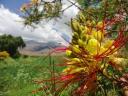 671 wandeling Cachi Adentro (5) (800x600)