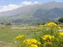 700 Tafi del Valle wandeling naar El Mollar  (2) (800x600)