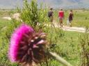 700 Tafi del Valle wandeling naar El Mollar (16) (800x600)