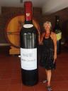 705 Mendoza bike en wine tour (4) (600x800)