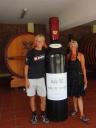 705 Mendoza bike en wine tour (5) (600x800)