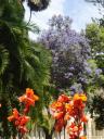 723 Vina del Mar park (4) (600x800)