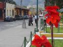 755 Antigua straatbeeld  (1) (800x600)