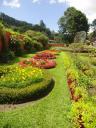 806 Mi jardin es su  jardin (4) (600x800)