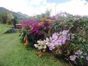 806 Mi jardin es su  jardin (3) (800x600)