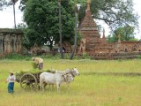 IMG_0436