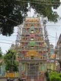 IMG_0542