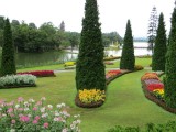 IMG_0544