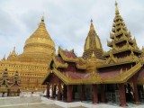 IMG_0730