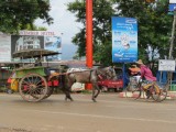 IMG_1254