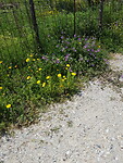 20200504_141818