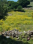 20200508_151225