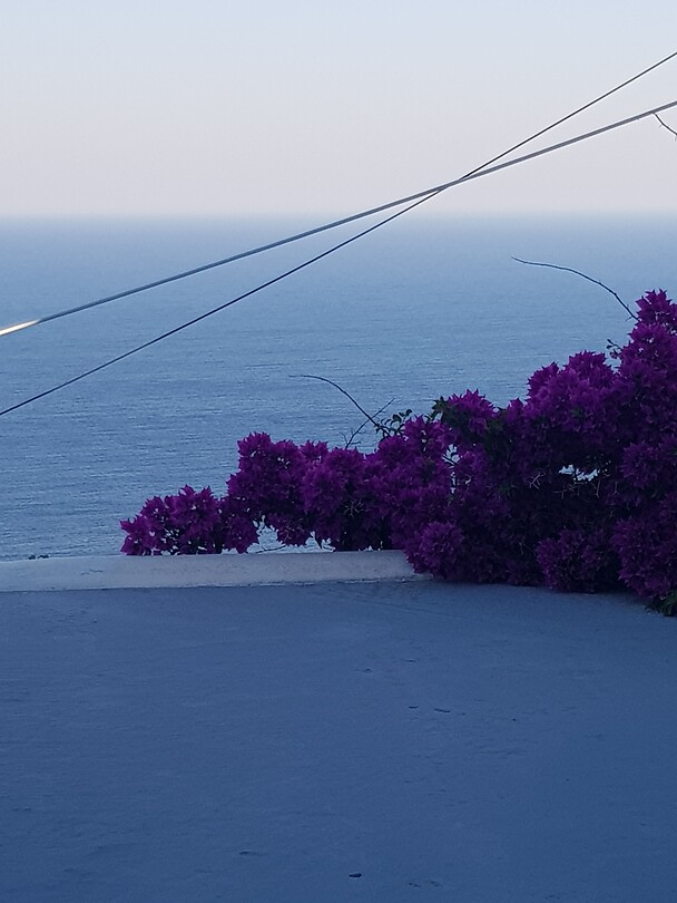 20200729_183449
