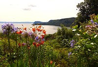 Uitzicht vanuit de tuin