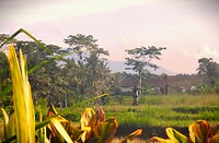DSCN8430